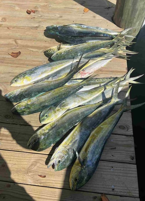 8 Hour Trip – Offshore Mahi Run/Gun