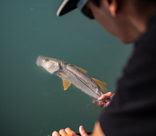 Florida Keys Back Country Fishing  