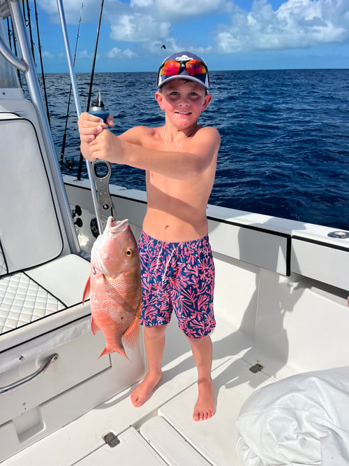 4 Hour Light Tackle Reef/Wreck