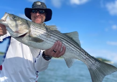 Inshore Light Tackle Fishing