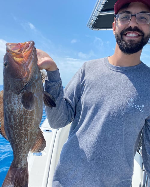 Reef Fishing