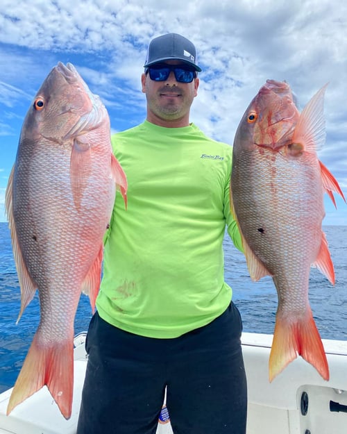 Reef Fishing