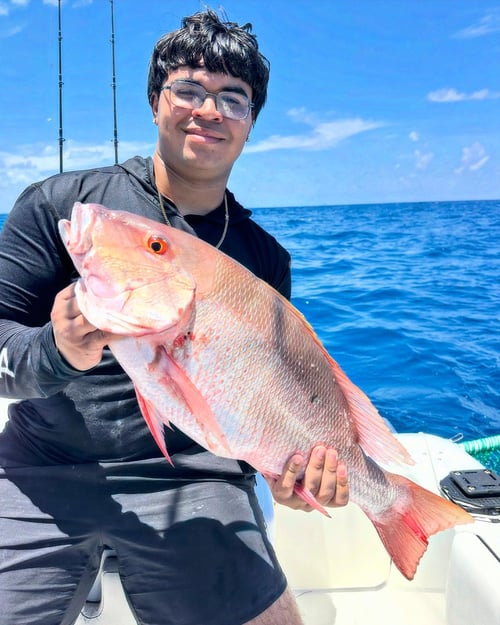 Reef Fishing