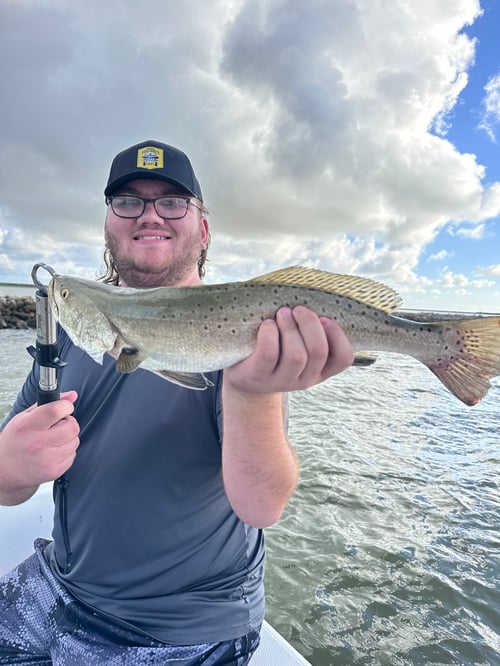 Galveston - Jetty trip (half day)