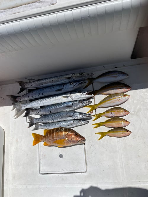 Fishing Nassau Bahamas