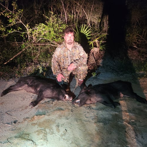 4 hour quick hog hint package