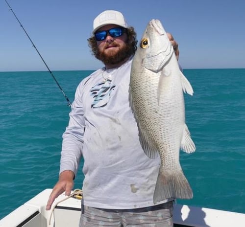Full Day Exotic Reef Fishing
