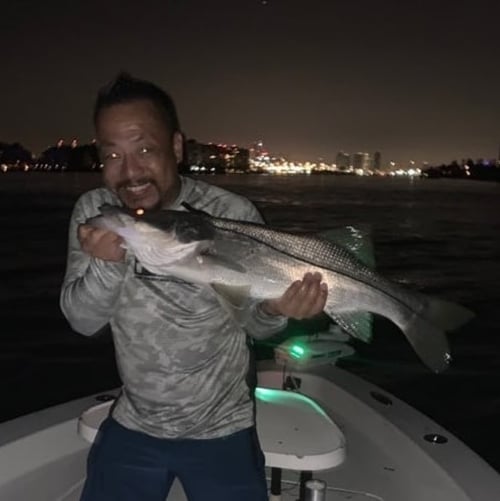 Night Trip – 4 Hours