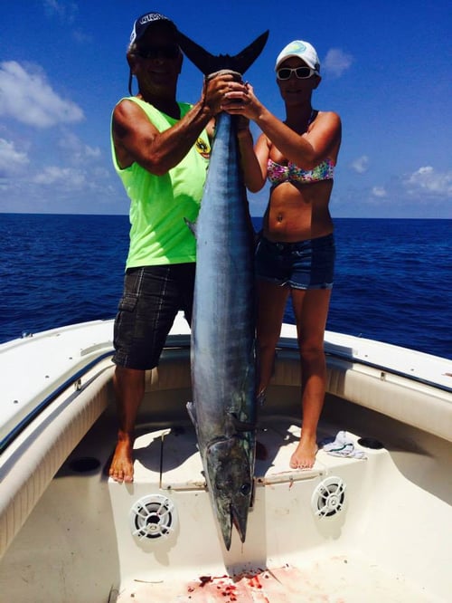 4-6 Hour Offshore Fishing 