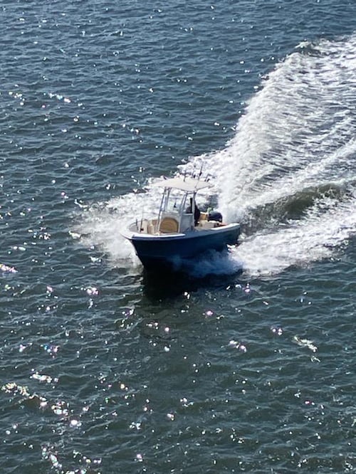 Inshore Striped Bass