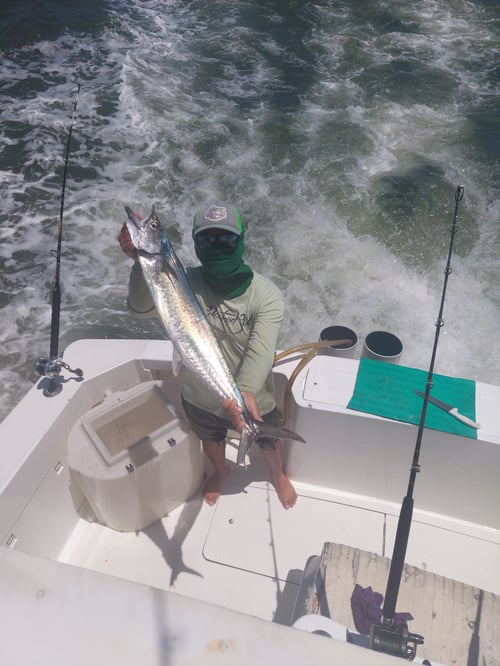 Full Day Inshore 