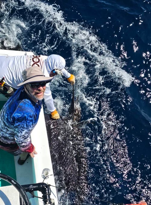 Sport Fishing Trips