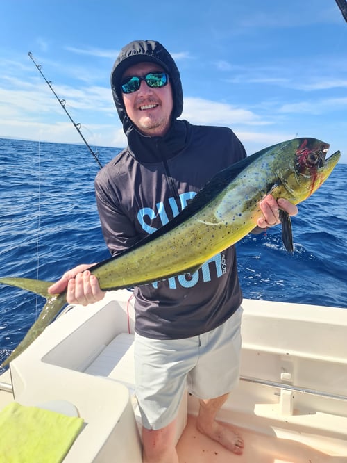 Sport Fishing Trips