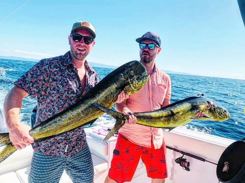 Sport Fishing Trips