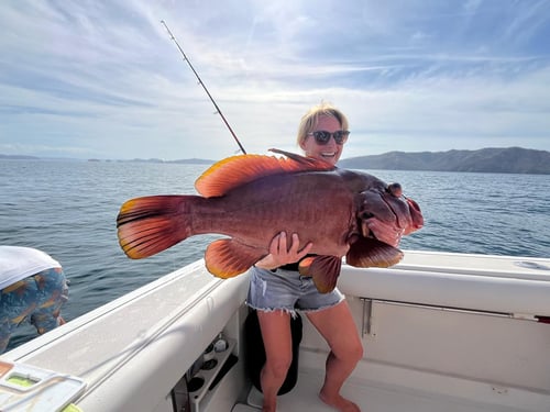 Sport-Fishing Half day