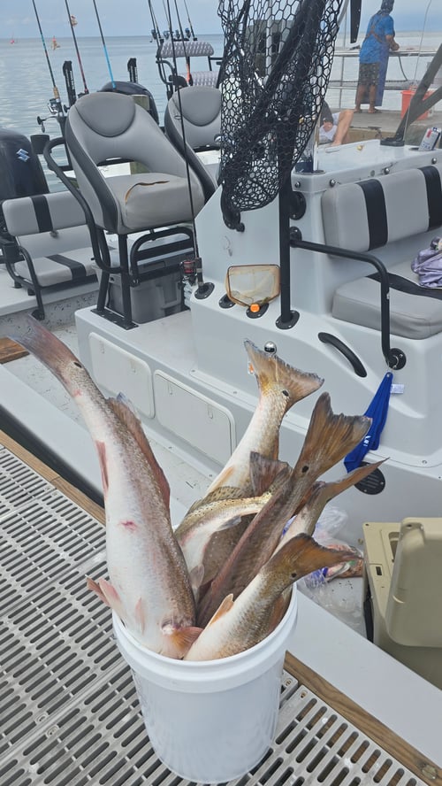 5hr power fishing trip 