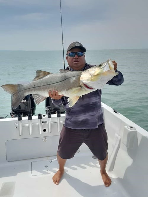 Half/Full Day Inshore Trip