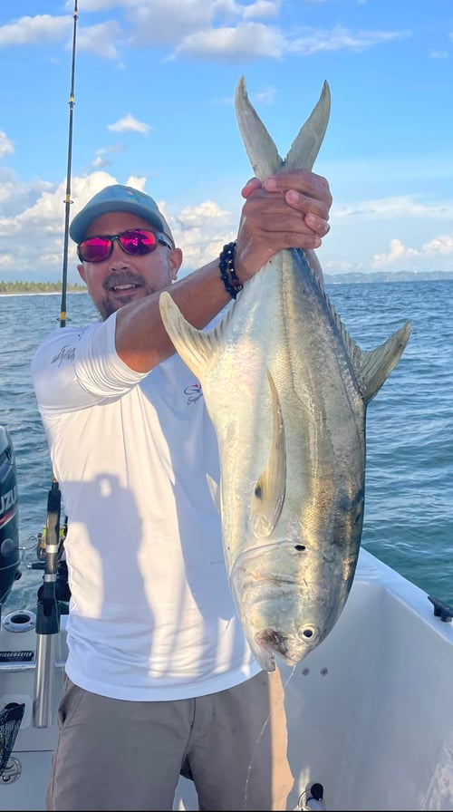 Half/Full Day Inshore Trip