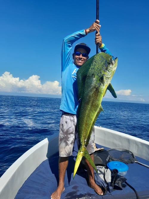 Full Day Nearshore