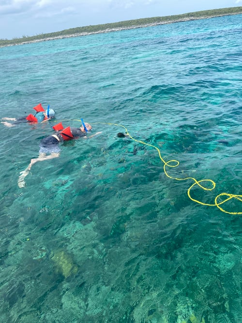 Rose island snorkel adventure 