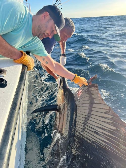 4-8 Hour Offshore Trip - 32'