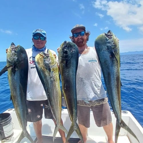 4-8 Hour Offshore Trip - 32'