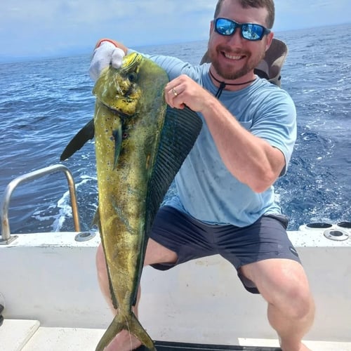 4-8 Hour Offshore Trip - 32'