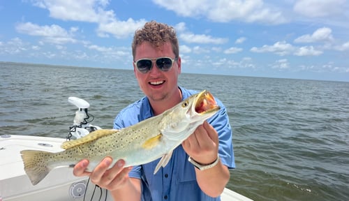 Barrier Island/Nearshore Fishing 