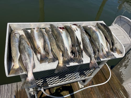 Barrier Island/Nearshore Fishing 