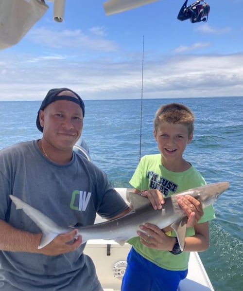 Shark Fishing