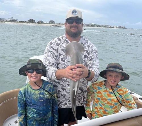 Shark Fishing