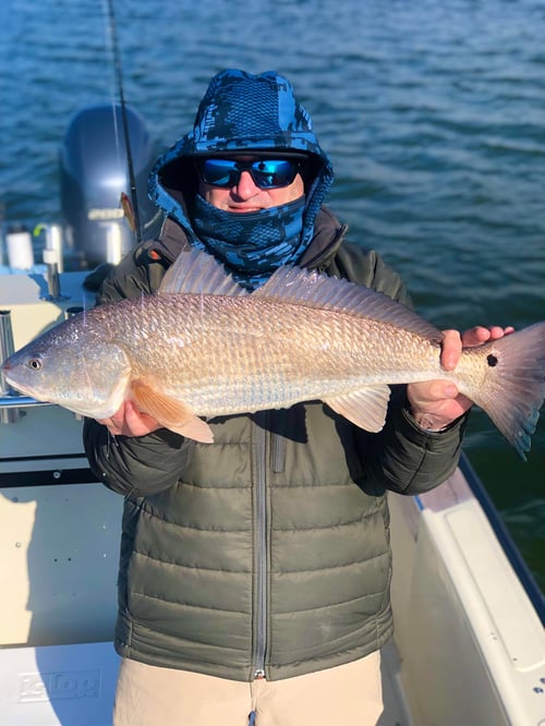 Jetty Fishing