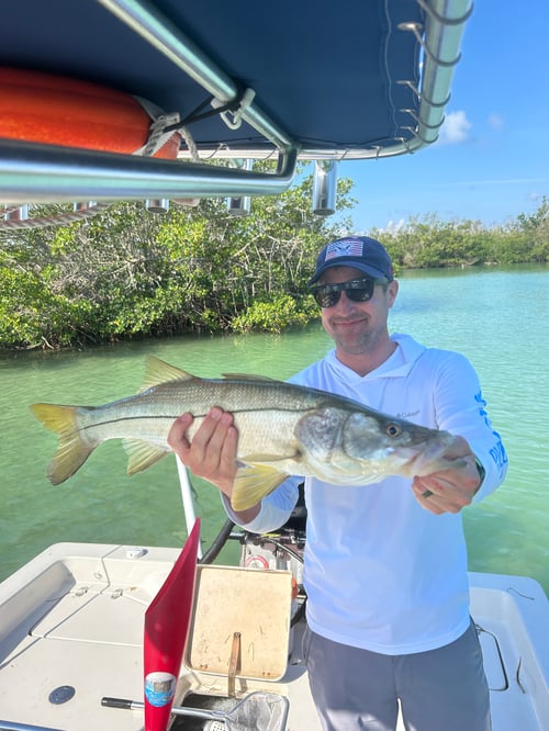 4 Hour Inshore Trip