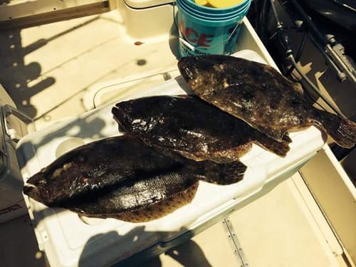 Nearshore Fishing 