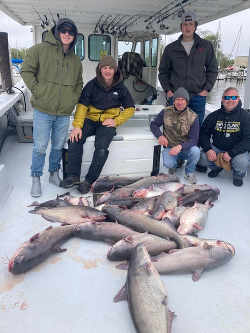Spring Catfish Trip