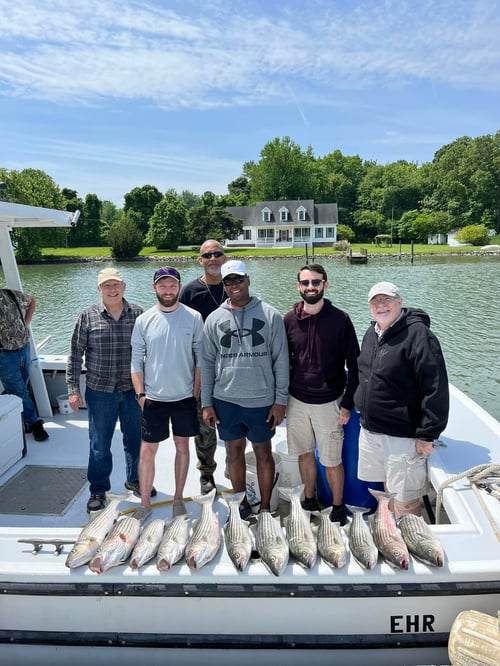 4-8 Hour Inshore Trip