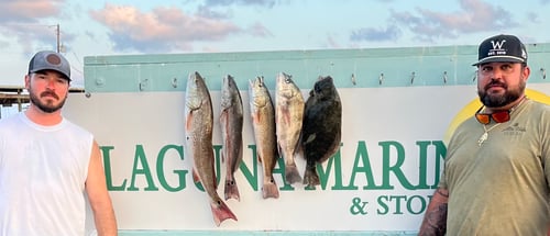 Reel Fun on the Laguna