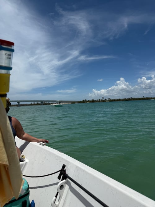 Inshore charter