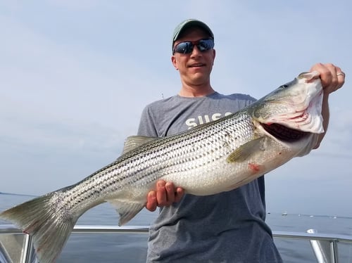 Inshore Fishing Trip - PM