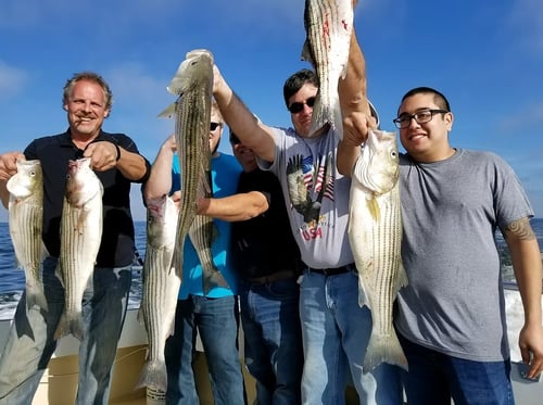 Inshore Fishing Trip - PM