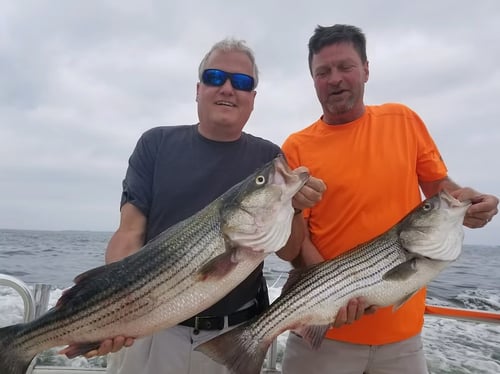 Inshore Fishing Trip - PM