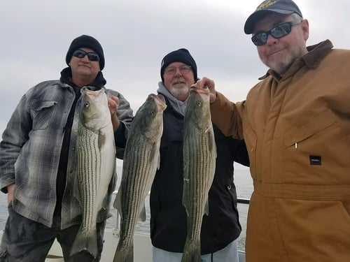 Inshore Fishing Trip - PM