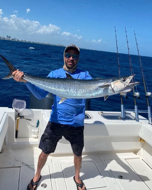 4-8 Hour Trip - Trolling /livebait