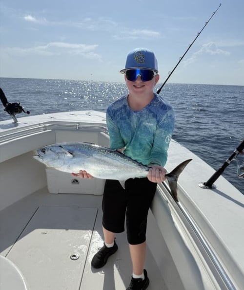 4-8 Hour Trip - Trolling /livebait