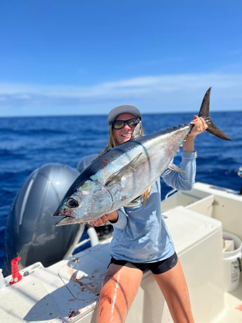 4-8 Hours Offshore Trip