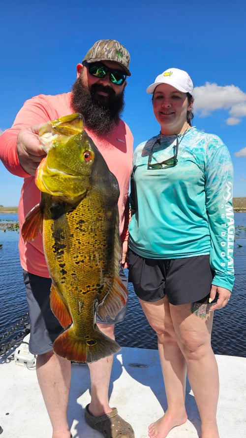 Guaranteed Peacock bass and more