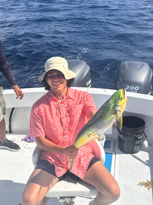 Makaira “Big Game Fishing”