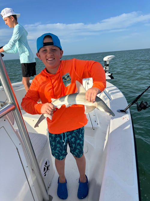 Inshore slam