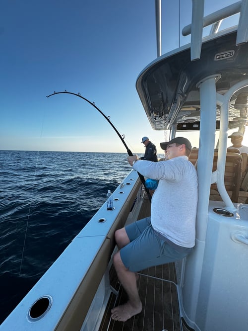American Red Snapper Trip