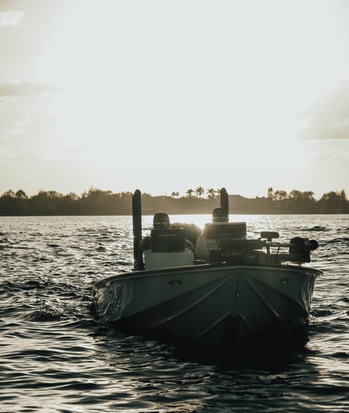 Tampa bay fishing